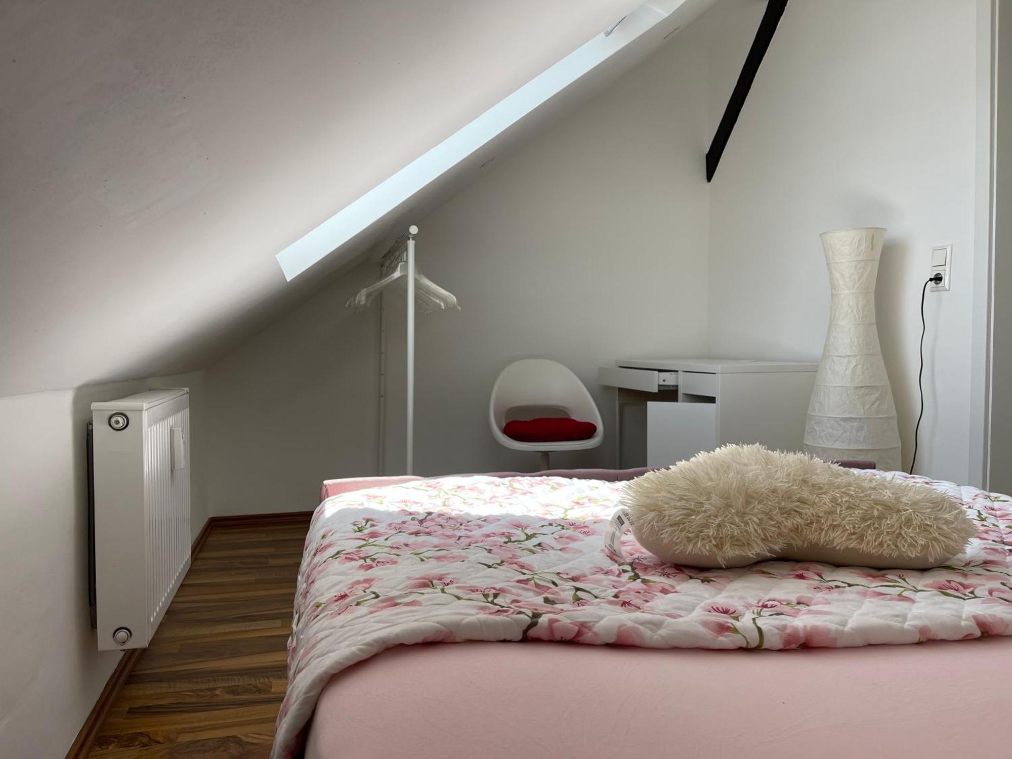 Bequemes Einzelzimmer Im Herzen Von Kassel Kültér fotó